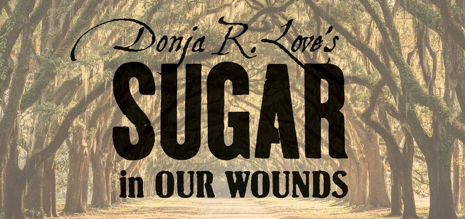 Sugar in Our Wounds